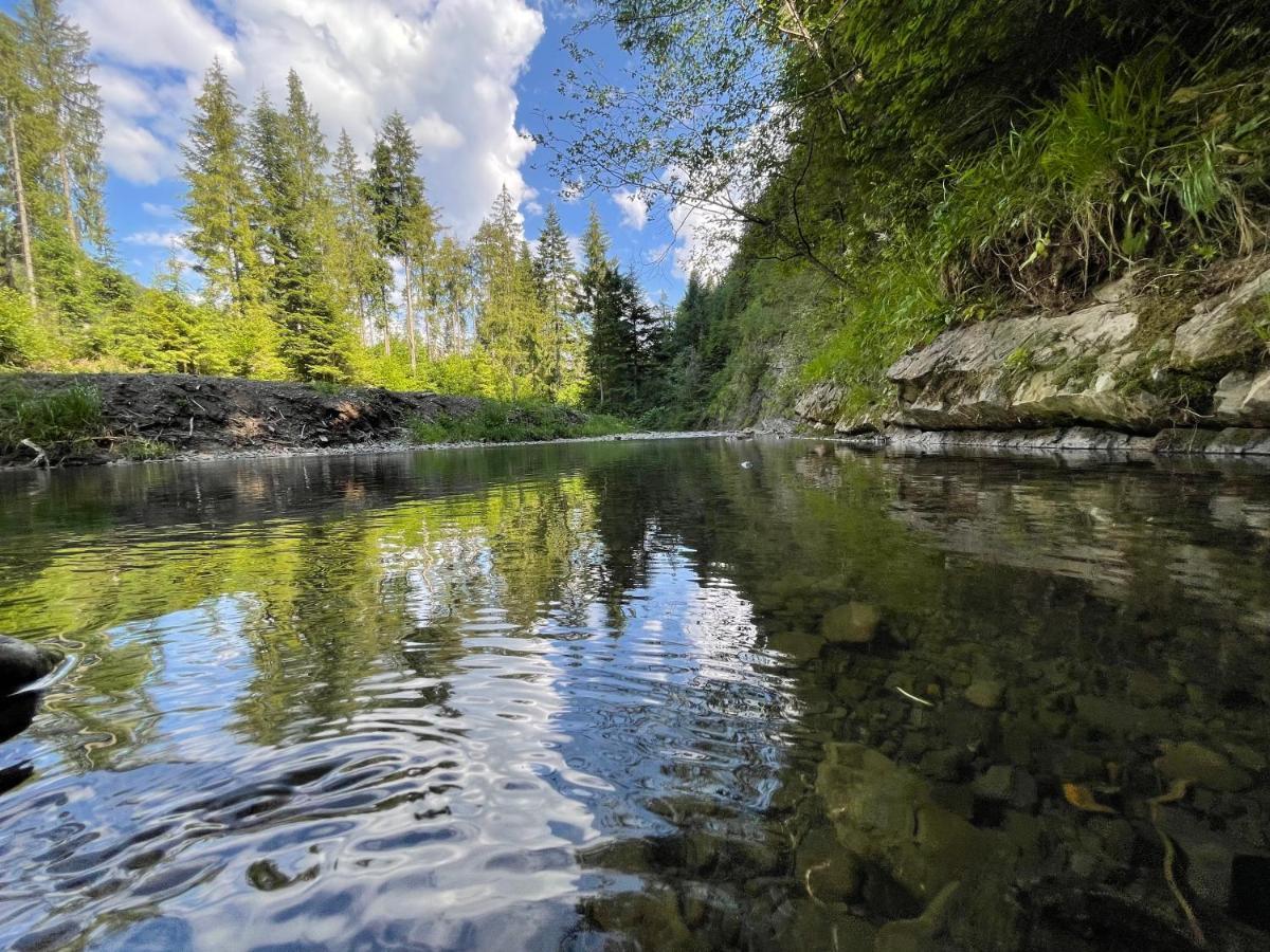 River Rest Slavske Exteriör bild